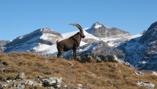 vanoise-5